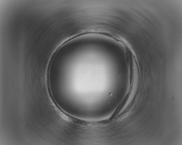 X0000073420803200608041023