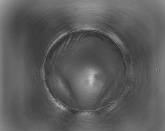 X0000073420806200608041023