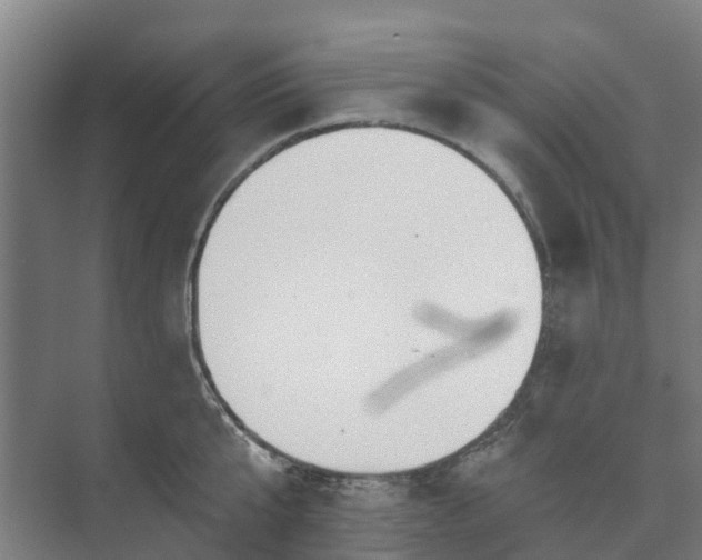 X0000073420807200608041023