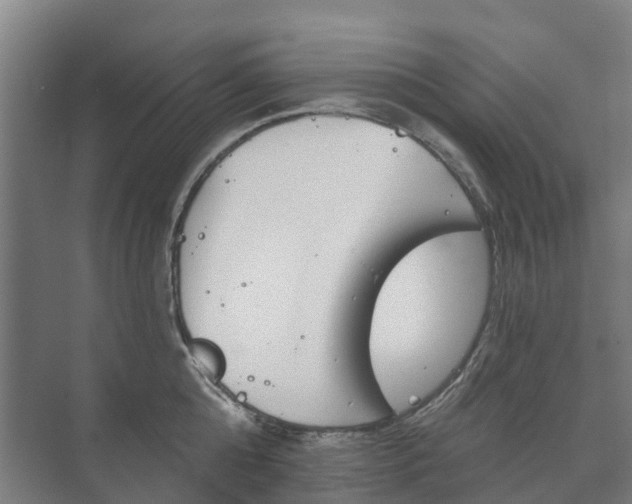 X0000073420808200608041023