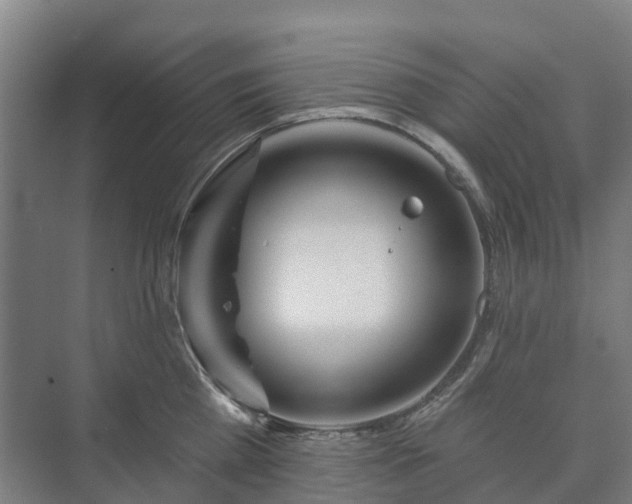 X0000073420809200608041023