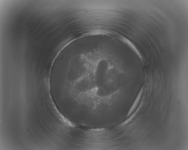 X0000073420810200608041023