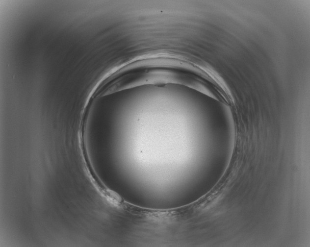 X0000073420813200608041023