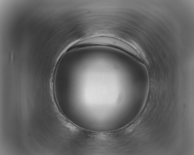 X0000073420814200608041023