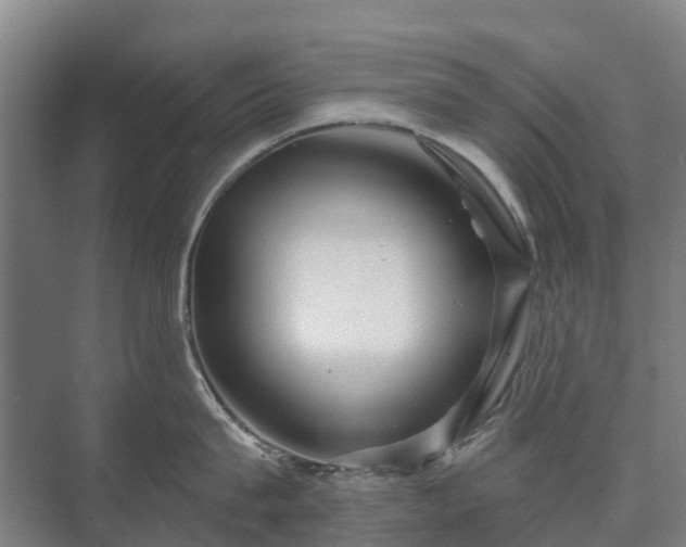 X0000073420815200608041023