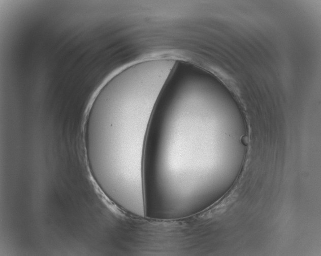 X0000073420816200608041023