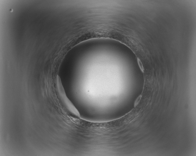 X0000073420817200608041022