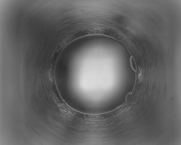 X0000073420819200608041022