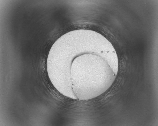 X0000073420820200608041022