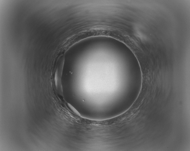 X0000073420821200608041022