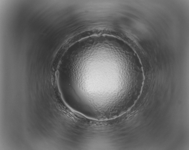 X0000073420823200608041022