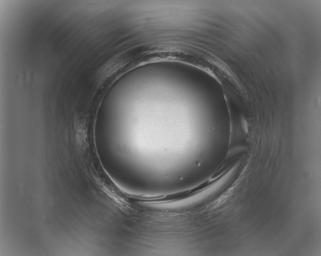 X0000073420826200608041022