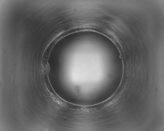 X0000073420827200608041022