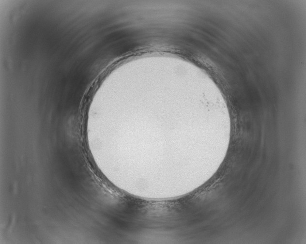 X0000073420828200608041022