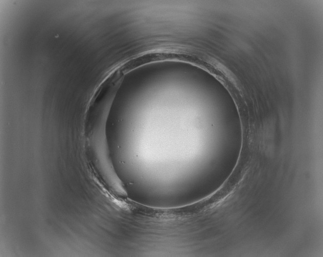 X0000073420829200608041022