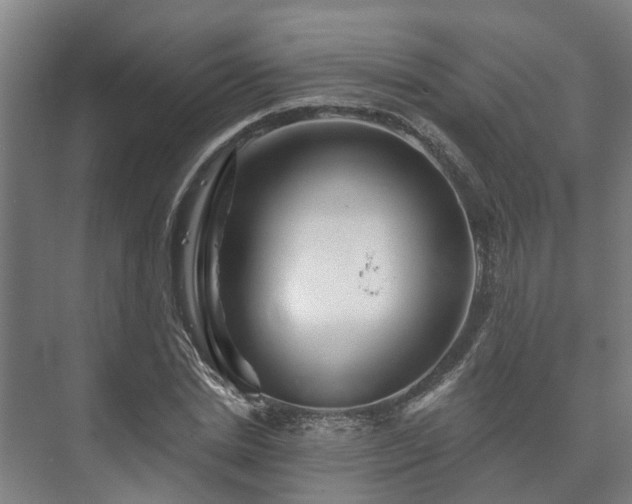 X0000073420830200608041022