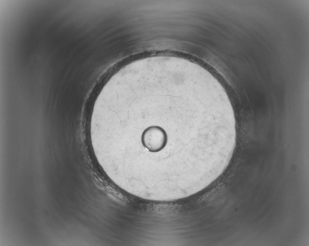 X0000073420832200608041022