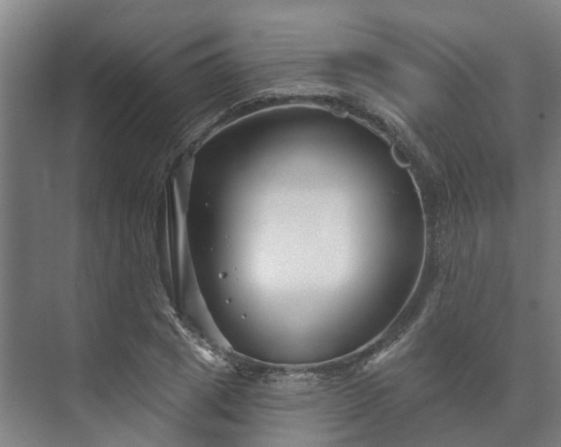 X0000073420833200608041022