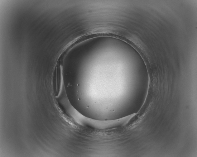 X0000073420834200608041022