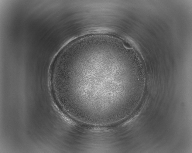 X0000073420835200608041022