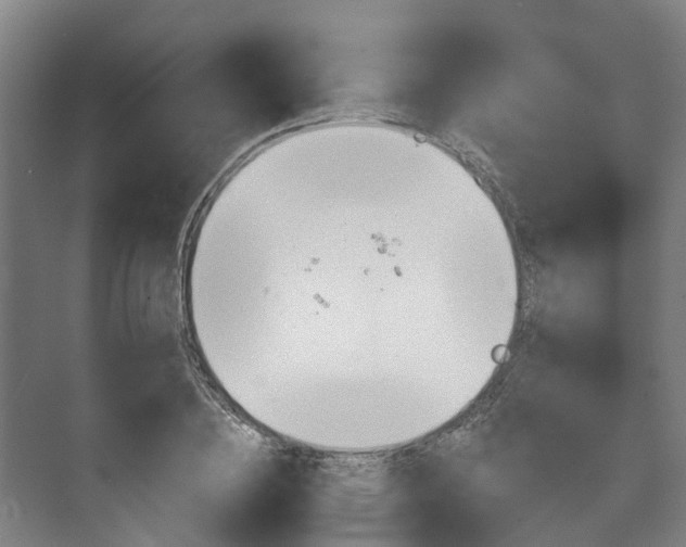 X0000073420836200608041022