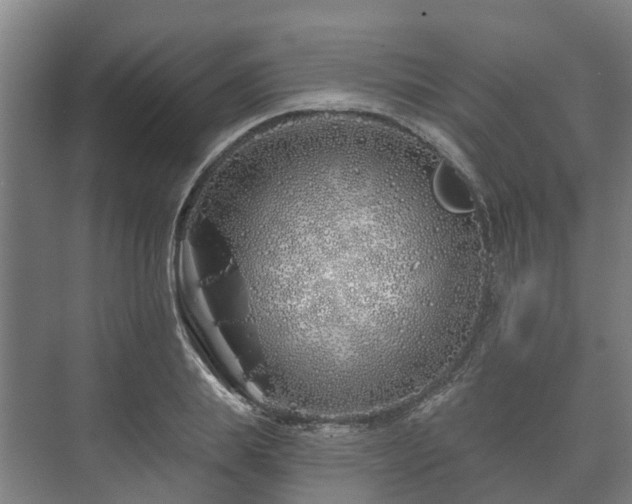 X0000073420839200608041022