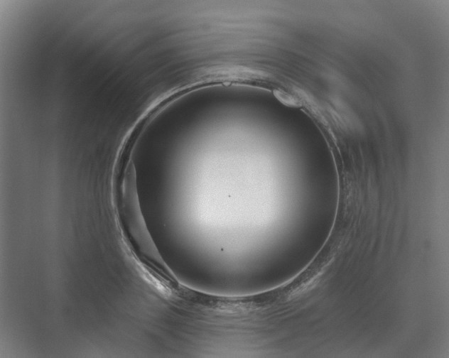 X0000073420843200608041022