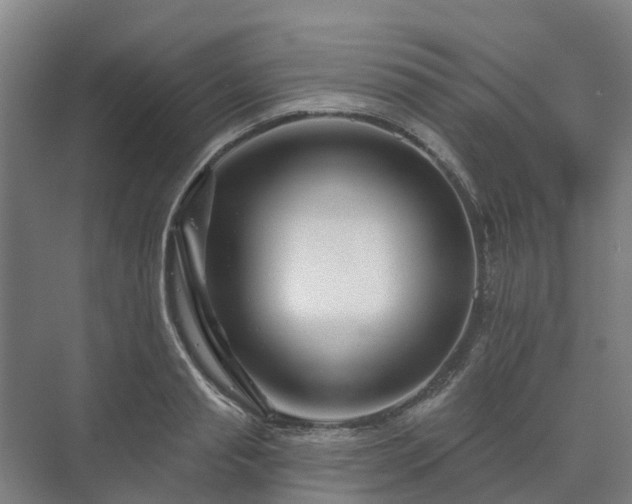 X0000073420845200608041022