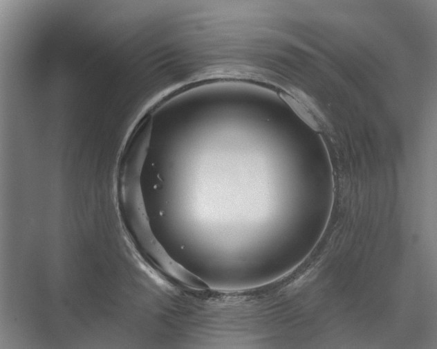 X0000073420846200608041022