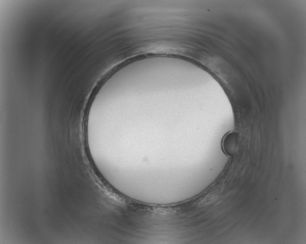 X0000073420848200608041022