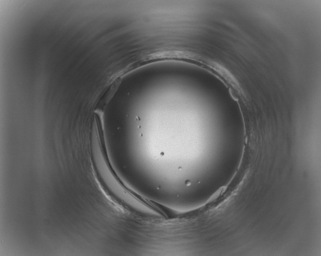 X0000073420849200608041022