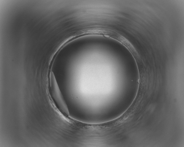 X0000073420852200608041022