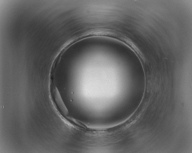 X0000073420853200608041022