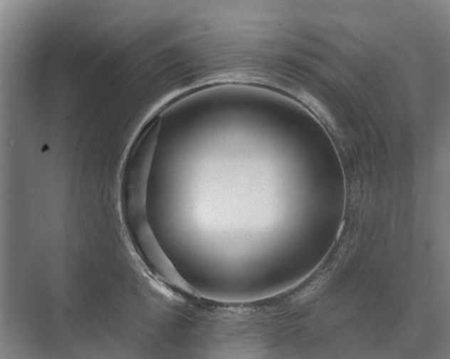 X0000073420854200608041022