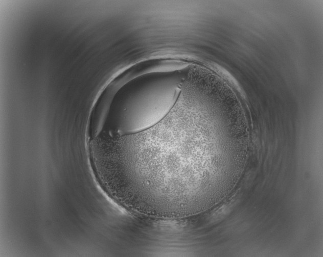 X0000073420855200608041022