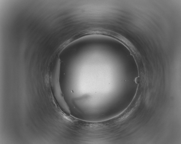 X0000073420857200608041022