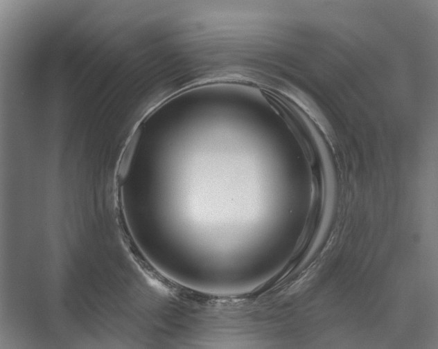 X0000073420858200608041022