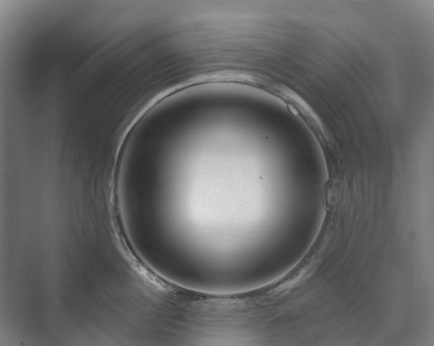 X0000073420860200608041022