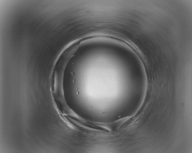 X0000073420862200608041022