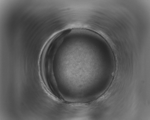 X0000073420864200608041022