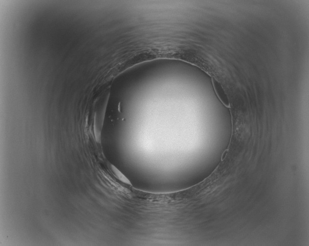 X0000073420866200608041022