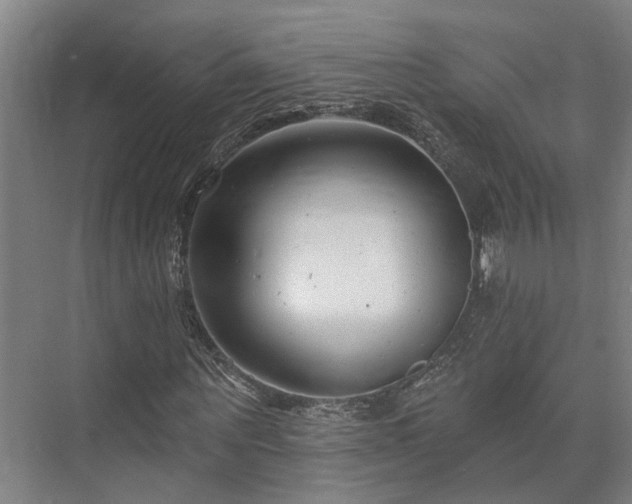 X0000073420867200608041022