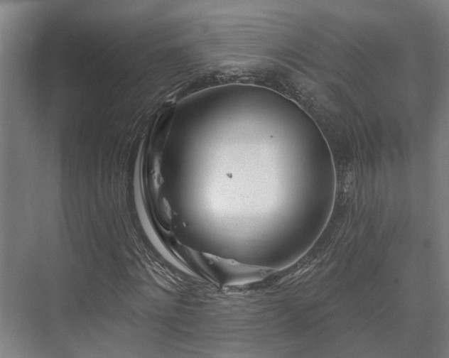 X0000073420868200608041022