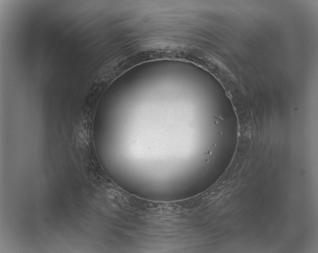 X0000073420869200608041022