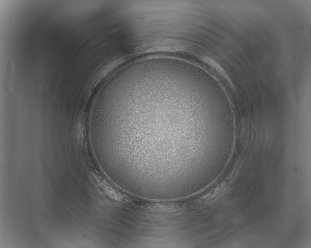 X0000073420874200608041022