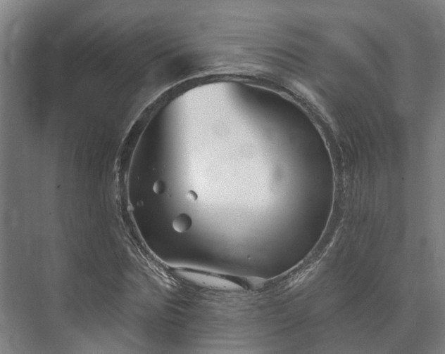 X0000073420875200608041022