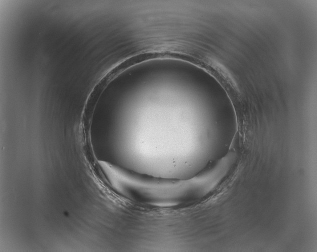 X0000073420876200608041021