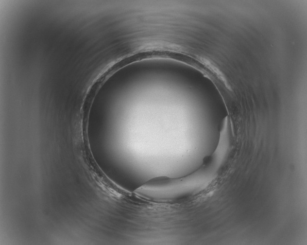 X0000073420877200608041021