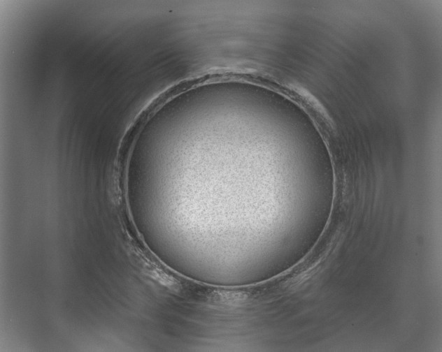 X0000073420878200608041021