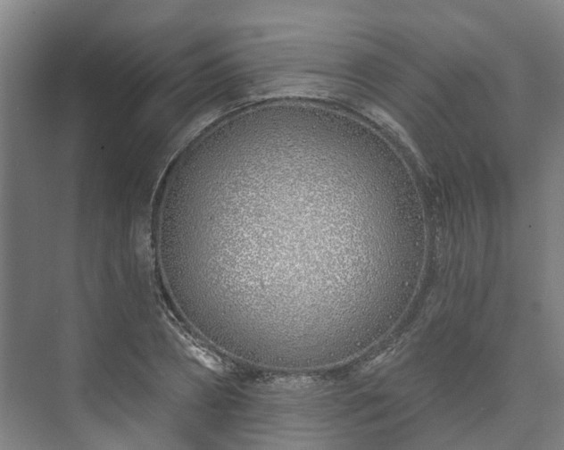 X0000073420882200608041021